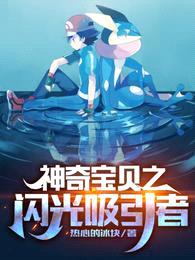 神奇宝贝:闪光吸引者